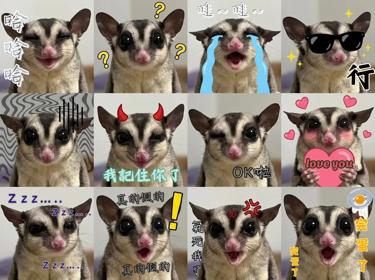 小蜜日常生活表情包