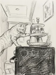 好奇心貓咪與三層架的探險