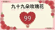 九十九朵玫瑰花