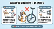 貓咪能騎單輪車嗎？教學圖卡
