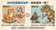如何幫暴龍剪指甲：貓咪與暴龍的剪甲方式