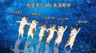 恆星不忘MV表演教學：貓咪星空舞步