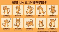 橘貓JOJO立10種教學圖卡