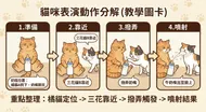 貓咪表演動作分解(教學圖卡)