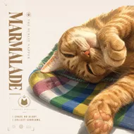 Marmalade: The Sunlit Napper
