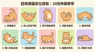 超萌橘貓皮拉提斯：10招伸展教學