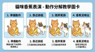 貓咪香蕉表演：動作分解教學圖卡