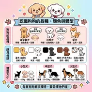 南台科大幼保系 4B2I0904