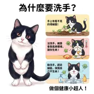 南台科大幼保系4B2I0914 - 黑白小貓的衛教課：為什麼要洗手？