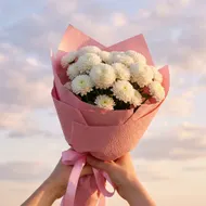 夕陽下的純白乒乓菊束