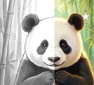 Panda's Transformation: Sketch to Color