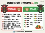 專業獸醫指南：狗狗飲食紅綠燈