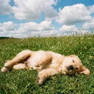 中信科大-41402034