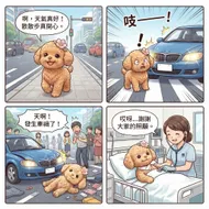 馬路如虎口：小狗主角的驚險意外與康復日記