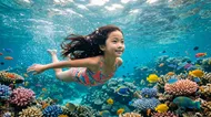 蔚藍秘境中的水下精靈：與熱帶魚群的奇幻遨遊