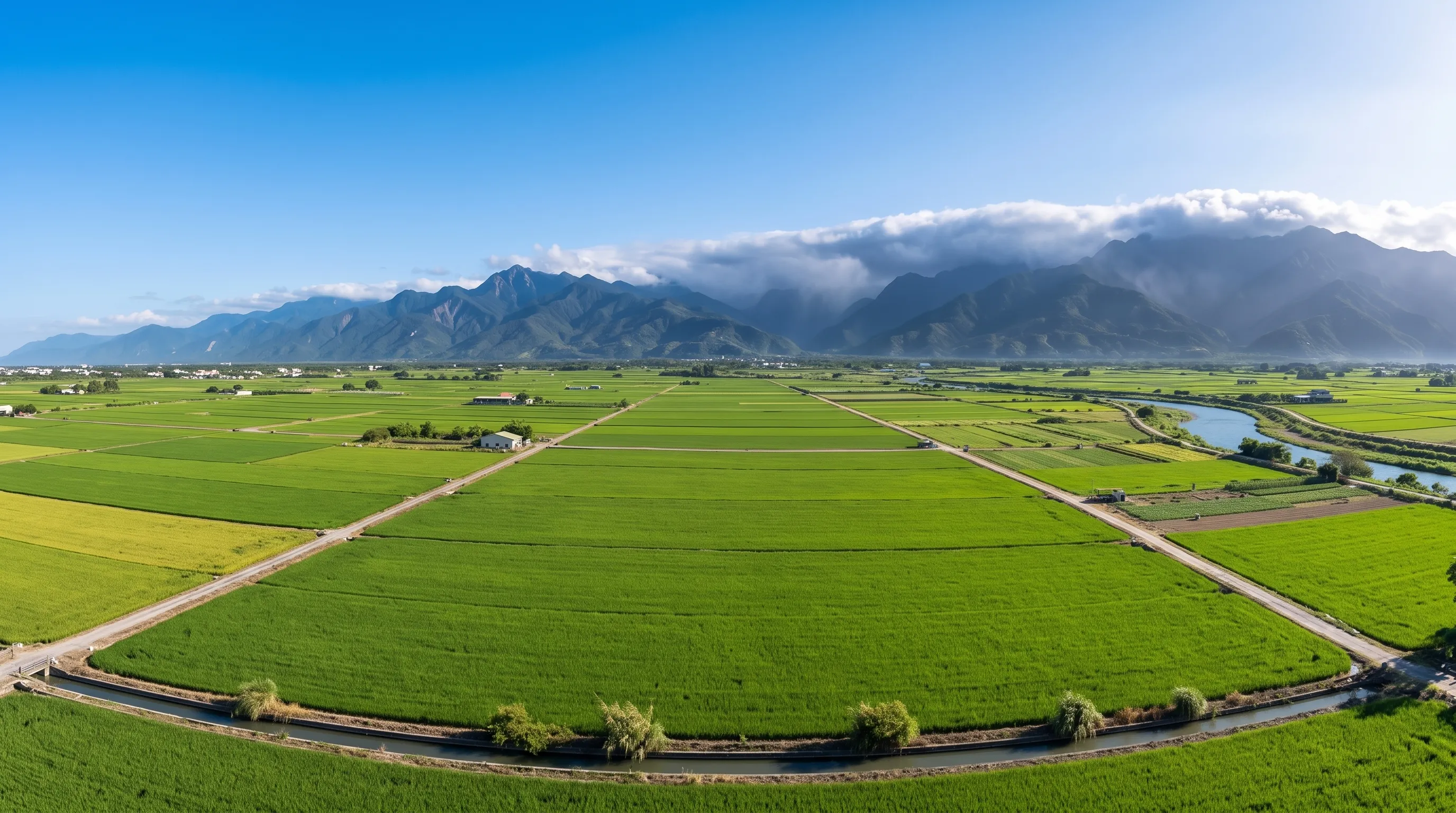 夏日送風行廣袤,高嶽回雲降甘霖(001)